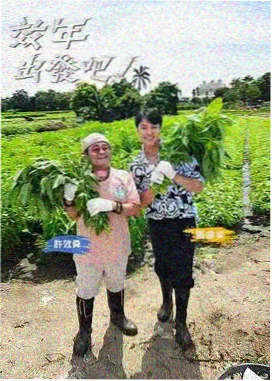 热度榜第四作品封面